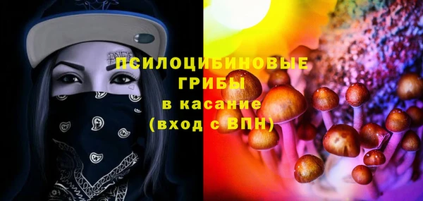 тгк Горнозаводск