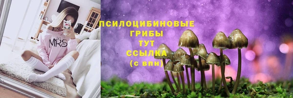 тгк Горнозаводск