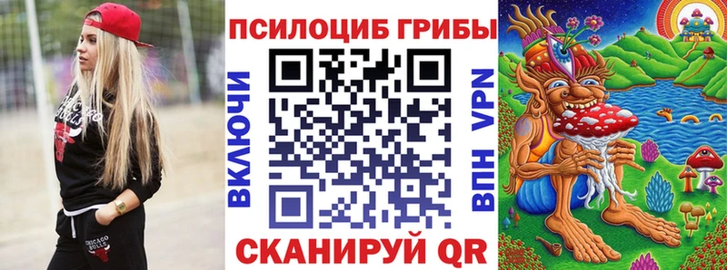 Купить  Камешково  Галлюциногенные грибы Psilocybe 